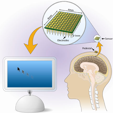 Computer Brain Interface