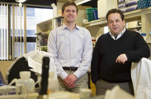 Implicated in rare forms of autism, two genes may have wider role - Matthew Schewede, left, and Eric Morrow learned the value of studying rare forms of autism. Research is done not only for the patients who have rare conditions, but also because doing so can inform research about other forms of autism.