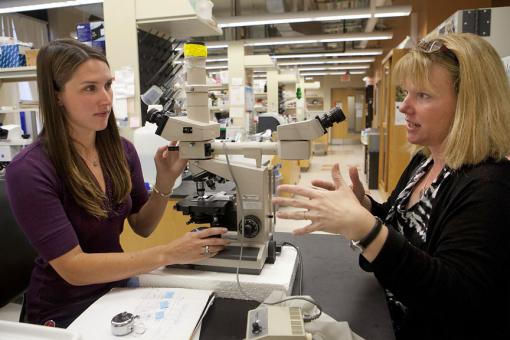 BPA exposure in utero - Jessica LaRocca, left, and Mary Hixon found that giving even large doses of BPA to pregnant mice did not have a negative effect on their sons’ reproductive systems. The digestive system — usual route of BPA exposure in humans — may detoxify it.