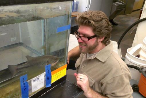 Big bite may not be best bite - Nicholas Gidmark tends a research subject. Bite force varies with morsel size. If a morsel is too large or too small, the jaw muscles do not move through their optimal length and may not crush it. A middle-size morsel is just right.