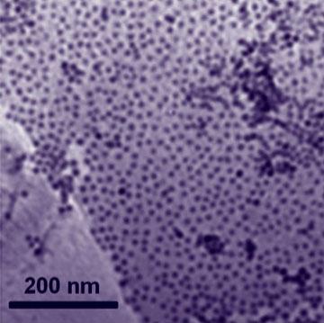 The best nonplatinum catalyst yet - Nanoparticles of cobalt attach themselves to a graphene substrate in a single layer. As a catalyst, the cobalt-graphene combination was a little slower getting the oxygen reduction reaction going, but it reduced oxygen faster and lasted longer than platinum-based catalysts.