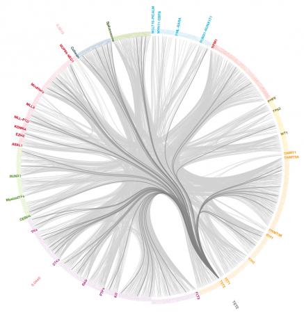 An interactive catalog of genetic mutations - The genetic profile of a given cancer can involve mutations of different genes in different patients. Dendrix, a powerful algorithm, can search enormous datasets for associations of genetic mutations, any one of might cause disease.