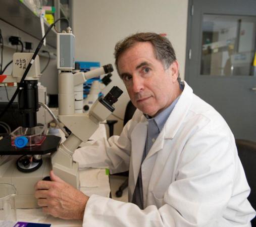 Hope for Duchenne muscular dystrophy - A team led by Justin Fallon has tested a novel therapy in mice. Brown University has licensed the technology in hopes of developing a treatment for thousands of young boys diagnosed every year.