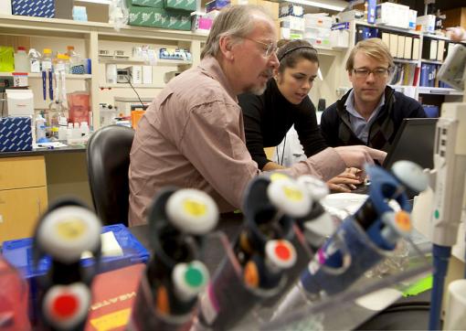 Karl Kelsey, Ashley Smith, and Brock Christensen - “Gliomas are such a deadly disease, and so little is known about them, that people are pretty excited about this because it is a whole new way in. We have a new clue about what to study.”