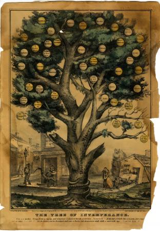 The Tree of Intemperance - Fruit on the “Misery” branch: Alms House, Imprisonment, Idiocy, Rags, Delirium Tremens, Idleness, and A Bloated Countenance. The tree is rooted in alcohol. (Lith. and Pub. by N. Currier, 1849)