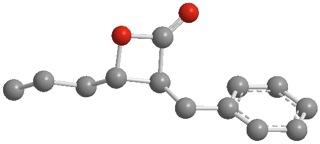 A small molecule packs a punch - β-lactone 7, a small molecule that inhibits the ClpP enzyme in bacteria, may be important in development of new anti-bacterial drugs. The bacterium that causes tuberculosis cannot survive when ClpP is inhibited.