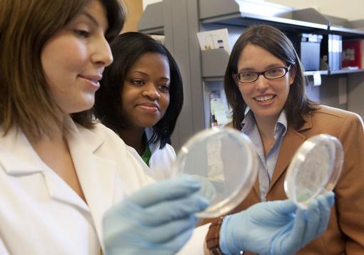 Dosage compensation: A male lifeline - “This is the last step of these signaling pathways that make the ultimate regulatory decision about whether you are going to turn on a gene or keep it off,” says Erica
Larschan, right, with graduate students Marcela Soruco, left, and
Jessica Chery.