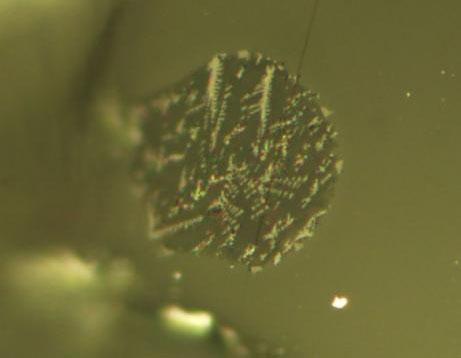 Moon speck - Brown scientists found super-tiny melt inclusions in lunar soil samples that opened the door for measurements that revealed the magnitude of water inside the moon.