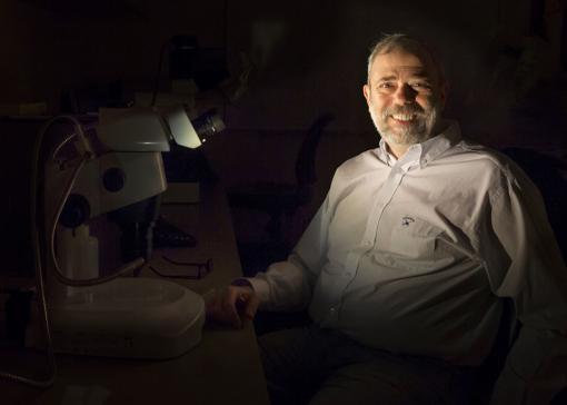 Water rights: Earth and Moon share a source - About 4.5 billion years ago when a giant collision sent a disc of debris from Earth to form the Moon, some of Earth’s water traveled along. Geochemist Alberto Saal and colleagues used isotopic composition as a fingerprint to trace the history.