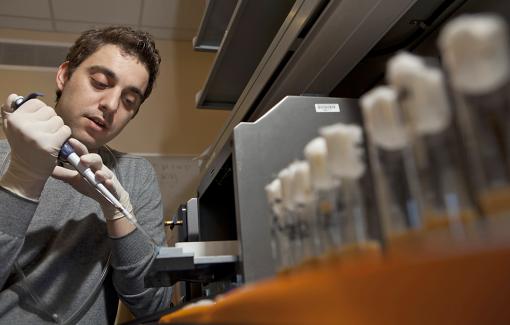 Instructions for the protein-making machinery of cells - Yiannis Savva and other members of the research team found that highly edited fruit flies had strikingly different behaviors compared to controls.