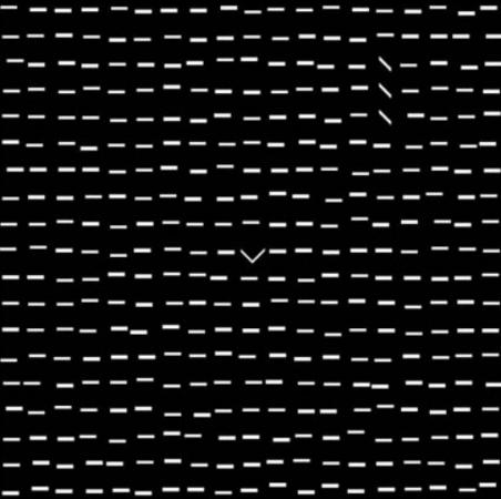 Find the anomalies - Test subjects were asked to find a group of diagonal lines and a caret against an obscuring background of lines. Their sleeping brainwaves before and after the task were compared with their performance of the task. Sleep appeared to help visual learning.