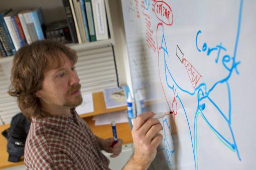 An essential thalamocortical partnership - It’s not just the contact between the thalamus and prefrontal cortex that’s important; it’s the nature of those contacts at different layers of the cortex that allows the thalamus a measure of control. Scott Cruikshank and colleagues used optogenetic techniques to make their findings.