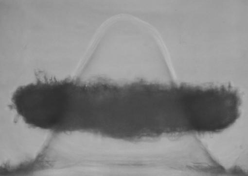 Climbing higher, higher - Cells forming themselves into a doughnut-shaped tissue appear to climb a hydrogel cone. Researchers can calculate the energy expended by the cells in overcoming gravity.