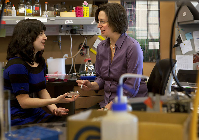 Cells get by with a little help: Tricia Serio, right, and Susanne DiSalvo found that cells have many chances to stop runaway misfolding of proteins — and they only need a little help to get the upper hand.Credit: Mike Cohea/Brown University