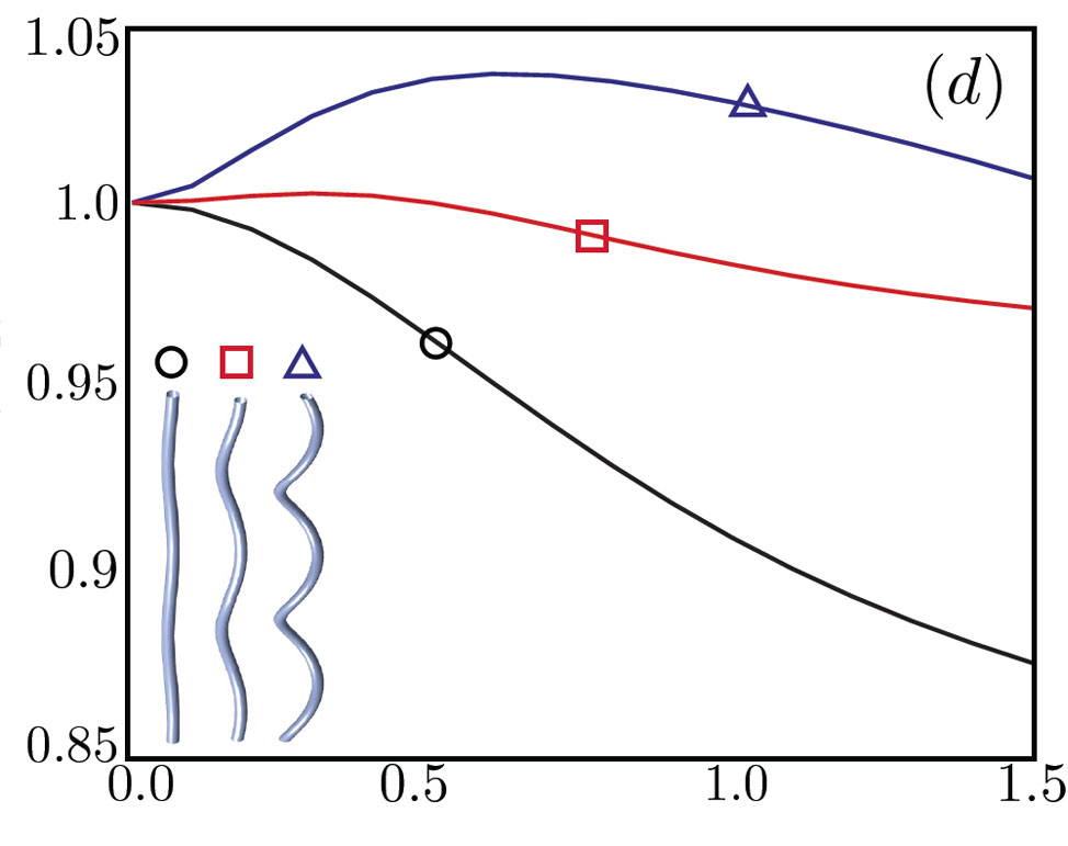 Powerful swimmers: a comparison: In the graph, the vertical axis is the ratio of speed in a viscoelastic fluid to speed in water. The horizontal axis is the degree of viscoelasticity. A flagellum with a high-angle helix, labeled with triangle, swims faster in a viscoelastic fluid than in water  when the viscoelasticity is just right. As the helix angle decreases, the peak enhancement in speed decreases. For low-angle helices (circle), viscoelasticity always makes the swimmer slower than it would be in water. Credit:&nbsp;Powers&nbsp;lab/Brown&nbsp;University