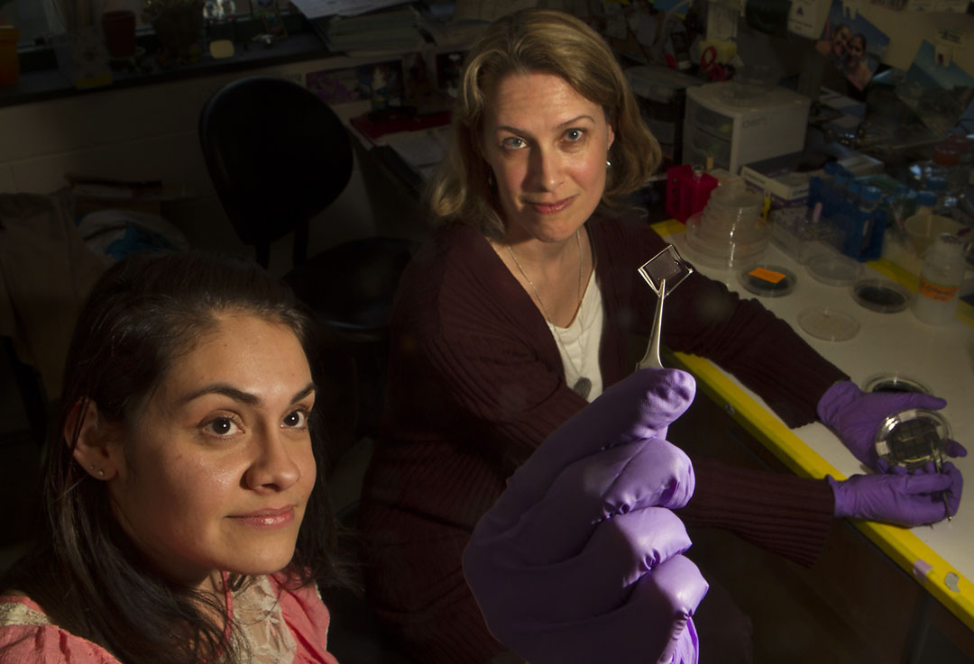 The secrets of Schwann-like substrates: Cristina Lopez-Fagundo, left, and Diane Hoffman-Kim are figuring out optimal designs for implants that will guide neuron growth in new tissue. Credit:&nbsp;Mike&nbsp;Cohea/Brown&nbsp;University