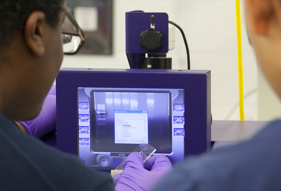 Hands-on is everything: Phage DNA fragments shine brightly in an instrument that checks the gel preparation with ultraviolet light. It’s not just about mastering information; it’s about getting information in the first place.