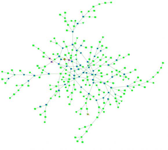 newtwork graph