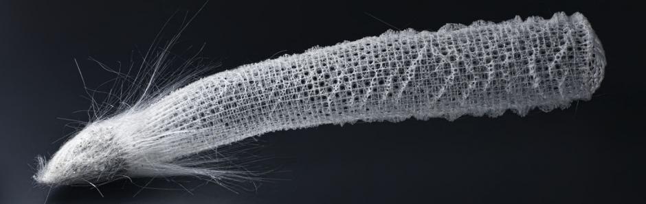 Sea Sponge Natural Hair Sea Sponge Natural Hair