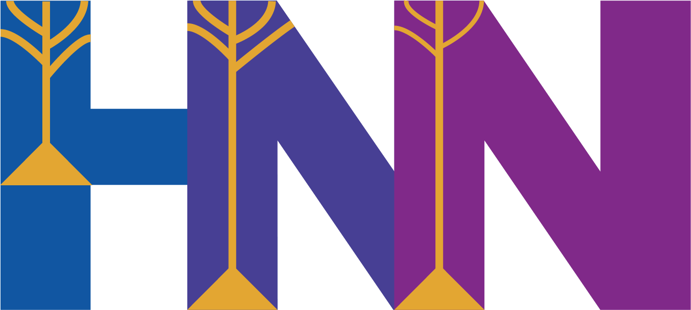 Human Neocortical Neurosolver logo