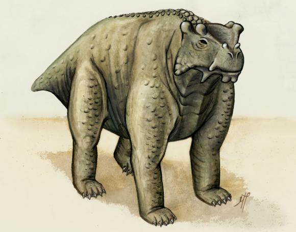 Pre-reptile may be earliest known to walk upright on all fours | News from  Brown