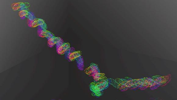 Bacteria Swim With Bodies And Flagella News From Brown