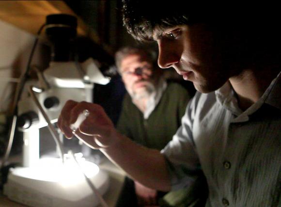 a unique summer job leads to a major find news from brown unique summer jobs
